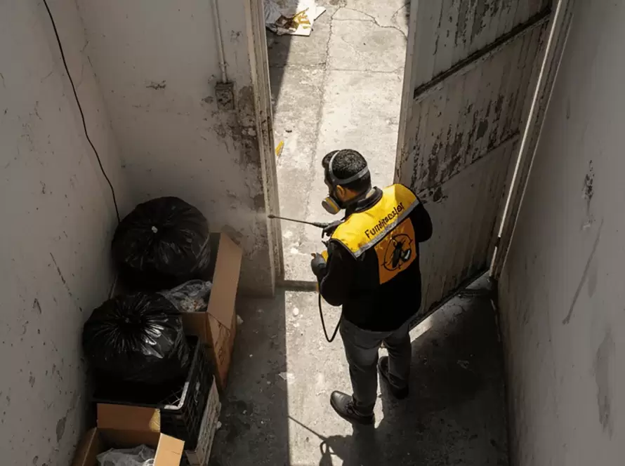 Especialista de Fumimaster fumigando un pasillo abierto con bolsas de basura para eliminar plagas.