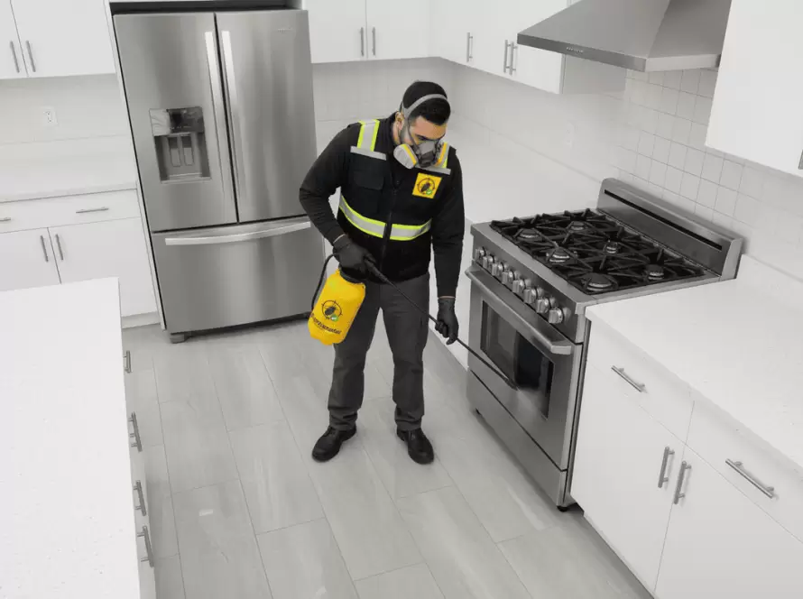 Especialista de Fumimaster fumigando en cocina blanca, utilizando productos que no manchan pisos ni superficies.